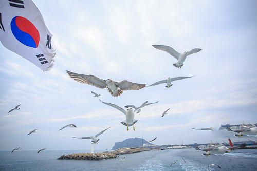 從“非主流”到主流，韓國留學(xué)是怎樣逆襲的？